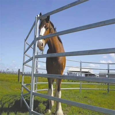 घोड़ा 2.1m X 1.8m पशुधन बाड़ पैनल हॉट डिप गैल्वनाइज्ड पाइप