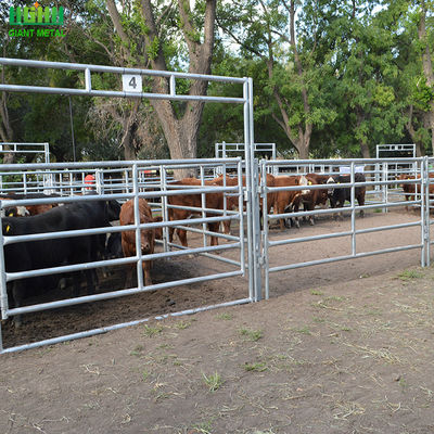 Cattles के लिए जस्ती ओवल ट्यूब पशु बाड़ पैनलों