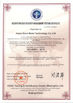 चीन Hebei Giant Metal Technology co.,ltd प्रमाणपत्र
