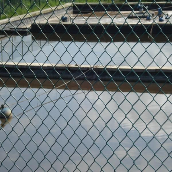 के बारे में नवीनतम कंपनी की खबर मेष सुरक्षा श्रृंखला कड़ी बाड़ 0