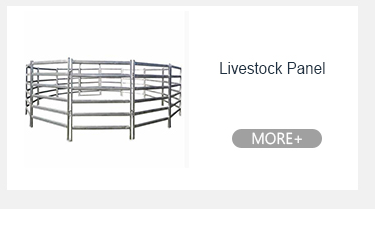 टिकाऊ कार 47" धातु भीड़ बाधाएं अस्थायी पूल बाड़ 7