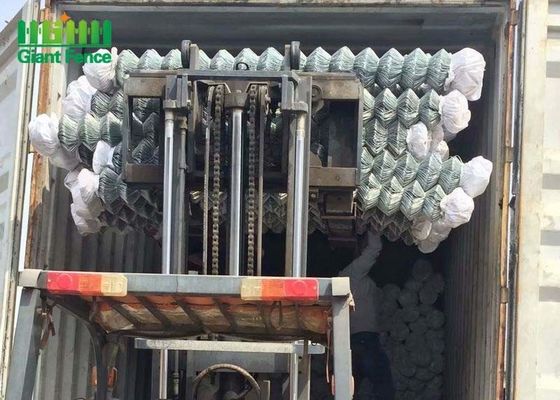 पीवीसी लेपित चेन लिंक बाड़ पैनलों में काले रंग के लिए Trellis दरवाजे